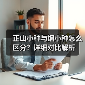 正山小种与烟小种怎么区分？详细对比解析（图1）