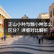 正山小种与烟小种怎么区分？详细对比解析（图3）