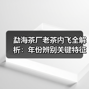 勐海茶厂老茶内飞全解析：年份辨别关键特征（图2）