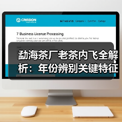 勐海茶厂老茶内飞全解析：年份辨别关键特征（图4）