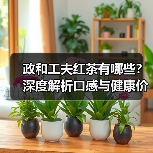 政和工夫红茶有哪些？深度解析口感与健康价值（图3）