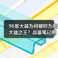 96紫大益为何被称为紫大益之王？品鉴笔记揭秘其品质与潜力！（图1）