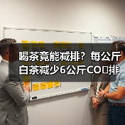 喝茶竟能减排？每公斤白茶减少6公斤CO₂排放全解析（图1）
