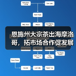 恩施州大宗茶出海摩洛哥，拓市场合作促发展（图2）