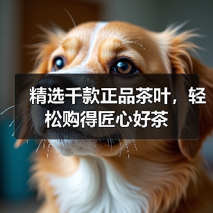 精选千款正品茶叶，轻松购得匠心好茶（图3）