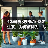 40年陈化厚纸7542老生茶，为何被称为“厚纸88青”？（图1）