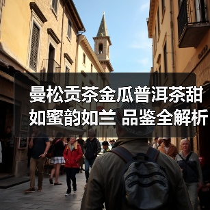 曼松贡茶金瓜普洱茶甜如蜜韵如兰 品鉴全解析（图3）