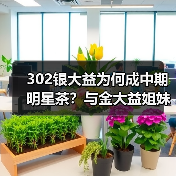 302银大益为何成中期明星茶？与金大益姐妹花对比收藏价值高（图1）