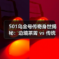 501乌金号传奇身世揭秘：边境茶菁 vs 传统大叶种（图4）