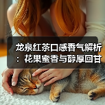 龙泉红茶口感香气解析：花果蜜香与醇厚回甘如何品鉴（图2）