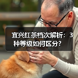 宜兴红茶档次解析：3种等级如何区分？（图4）