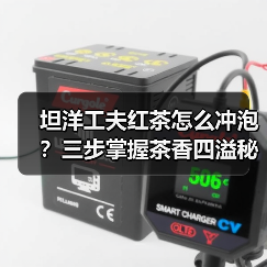 坦洋工夫红茶怎么冲泡？三步掌握茶香四溢秘诀（图4）