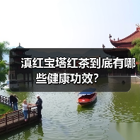 滇红宝塔红茶到底有哪些健康功效？（图2）