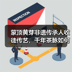 蒙顶黄芽非遗传承人收徒传艺，千年茶脉如何焕发新生？（图1）