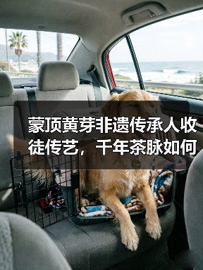 蒙顶黄芽非遗传承人收徒传艺，千年茶脉如何焕发新生？（图3）