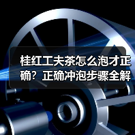 桂红工夫茶怎么泡才正确？正确冲泡步骤全解析（图3）