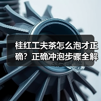 桂红工夫茶怎么泡才正确？正确冲泡步骤全解析（图4）