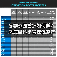 冬季茶园管护如何做？凤庆县科学管理促茶产业升级（图4）