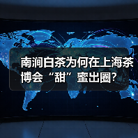 南涧白茶为何在上海茶博会“甜”蜜出圈？（图2）