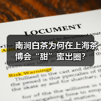 南涧白茶为何在上海茶博会“甜”蜜出圈？（图1）