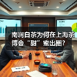 南涧白茶为何在上海茶博会“甜”蜜出圈？（图3）