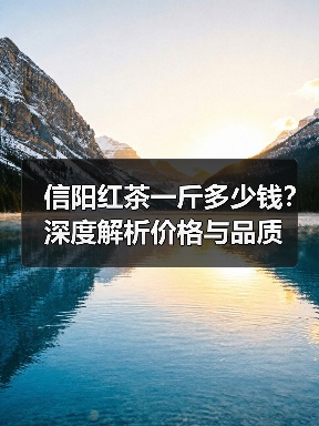 信阳红茶一斤多少钱？深度解析价格与品质（图3）