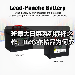 班章大白菜系列标杆之作，02珍藏精品为何成收藏热门？（图3）