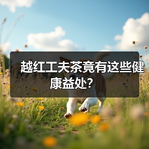 越红工夫茶竟有这些健康益处？（图4）