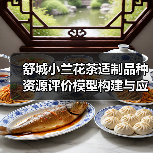 舒城小兰花茶适制品种资源评价模型构建与应用（图2）