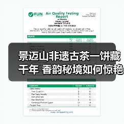 景迈山非遗古茶一饼藏千年 香韵秘境如何惊艳？（图4）