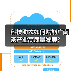 科技助农如何赋能广南茶产业高质量发展？（图4）