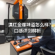 滇红金螺味道怎么样？口感评测解析（图3）