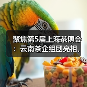 聚焦第5届上海茶博会：云南茶企组团亮相，引爆国际茶产业盛会（图3）