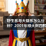 野生系与大益系怎么分辨？2001年绿大树四款茶对比解析（图1）
