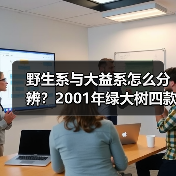 野生系与大益系怎么分辨？2001年绿大树四款茶对比解析（图4）