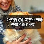 外资看好中国茶业市场，未来机遇几何？（图3）