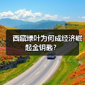 西藏绿叶为何成经济崛起金钥匙？（图1）