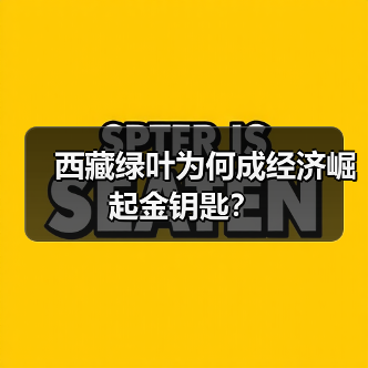 西藏绿叶为何成经济崛起金钥匙？（图3）