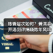 陈香层次如何？普洱茶开汤测评揭晓陈年风味演变（图3）