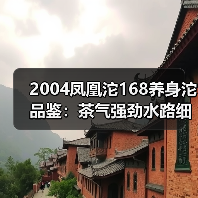 2004凤凰沱168养身沱品鉴：茶气强劲水路细腻，口粮茶值得入手吗？（图3）