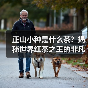 正山小种是什么茶？揭秘世界红茶之王的非凡魅力（图2）