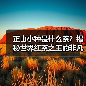正山小种是什么茶？揭秘世界红茶之王的非凡魅力（图3）