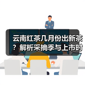 云南红茶几月份出新茶？解析采摘季与上市时间（图1）