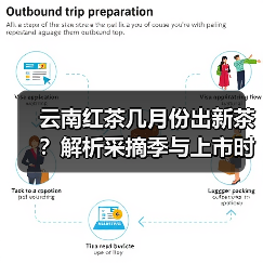 云南红茶几月份出新茶？解析采摘季与上市时间（图2）
