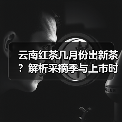 云南红茶几月份出新茶？解析采摘季与上市时间（图4）