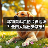 冰镇普洱真的会冒泡吗？云南人喝出新茶感！（图4）