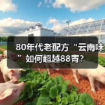80年代老配方“云南味”如何超越88青?(图1) 80年代老配方“云南味”如何超越88青?(图1)