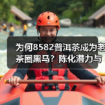 为何8582普洱茶成为老茶圈黑马？陈化潜力与独特特征解析（图2）