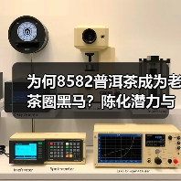 为何8582普洱茶成为老茶圈黑马？陈化潜力与独特特征解析（图4）