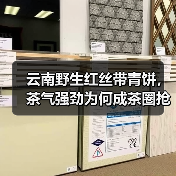 云南野生红丝带青饼，茶气强劲为何成茶圈抢手货？（图4）